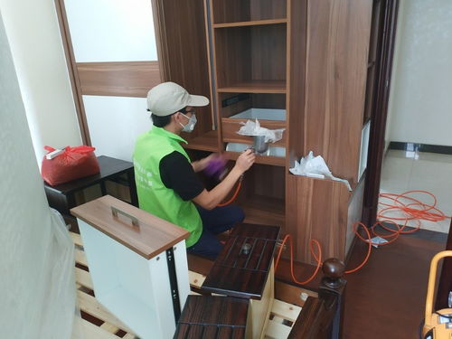 守护清新空气，构筑健康空间——绿净源厦门办公室除甲醛公司专业服务解析